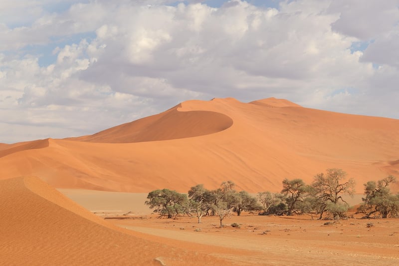 Namibian Desert